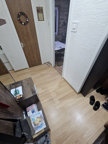 Colentina, Teiul Doamnei,