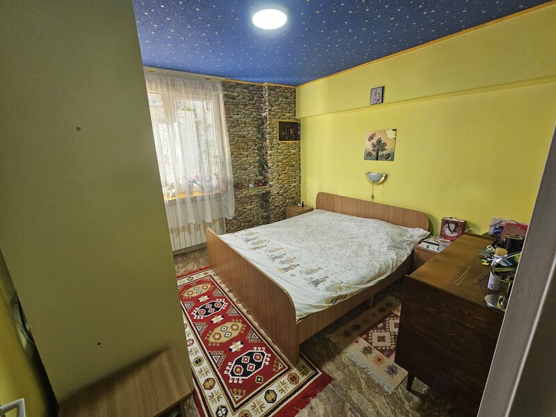 Colentina, Teiul Doamnei,