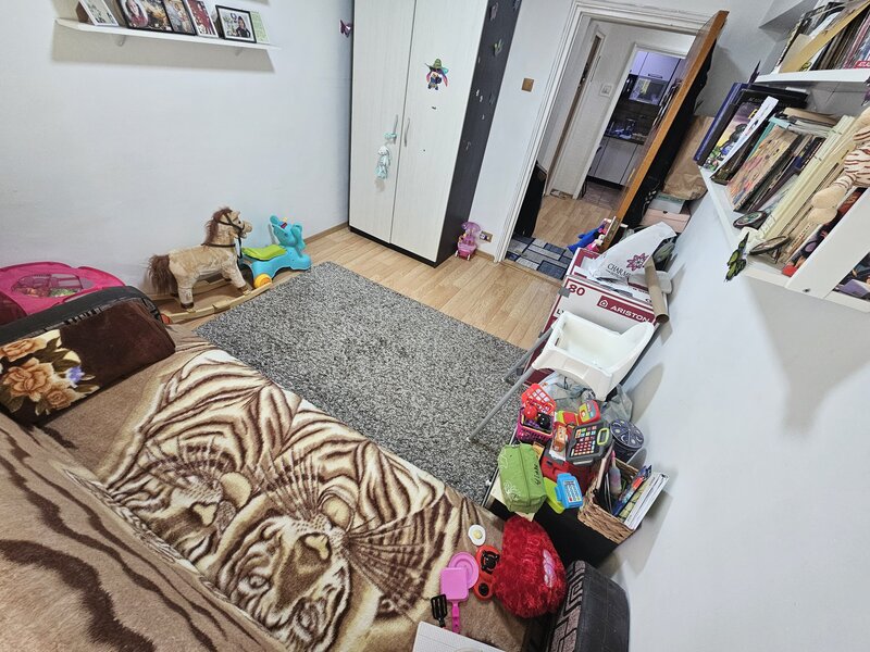 Colentina, Teiul Doamnei,