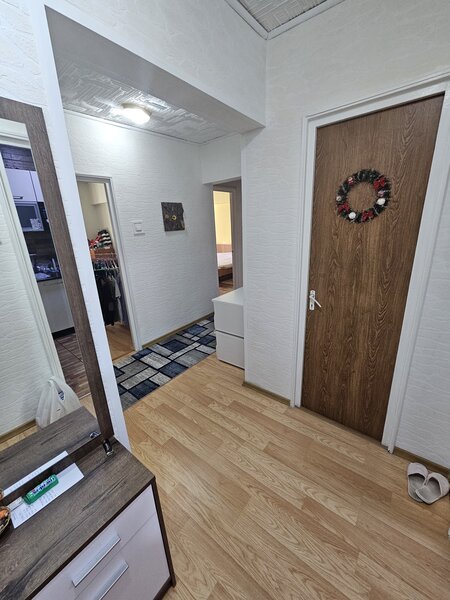 Colentina, Teiul Doamnei,