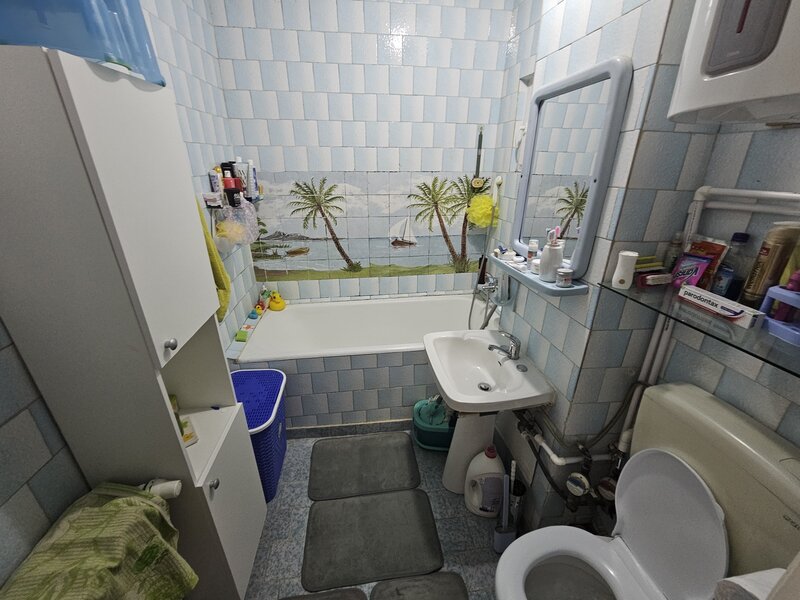 Colentina, Teiul Doamnei,