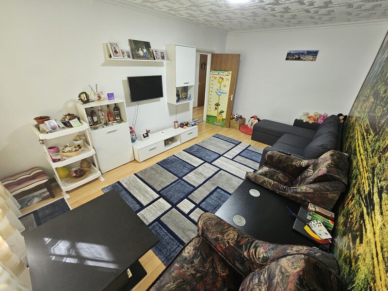 Colentina, Teiul Doamnei,