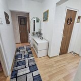 Colentina, Teiul Doamnei